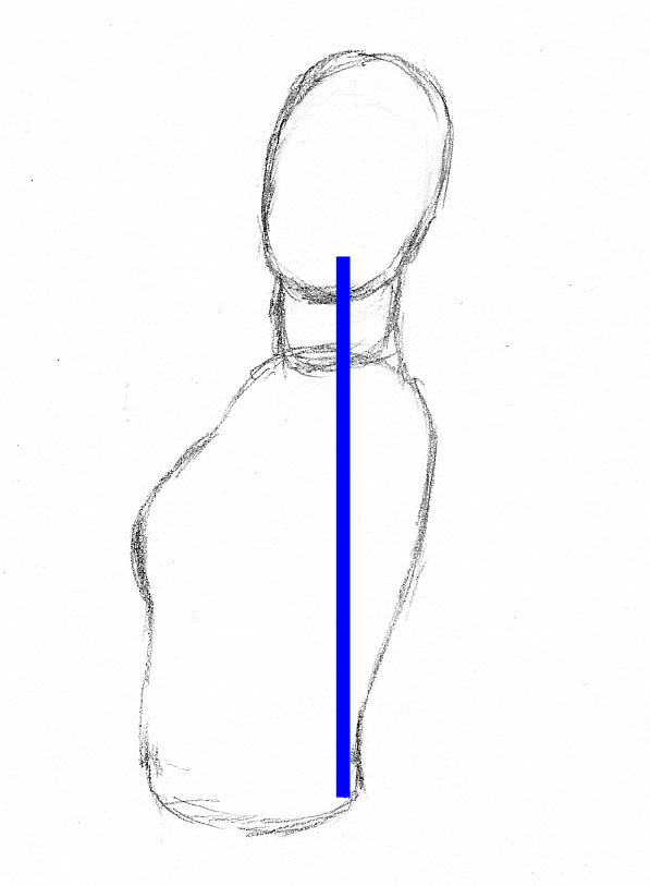 how to draw woman figure torso