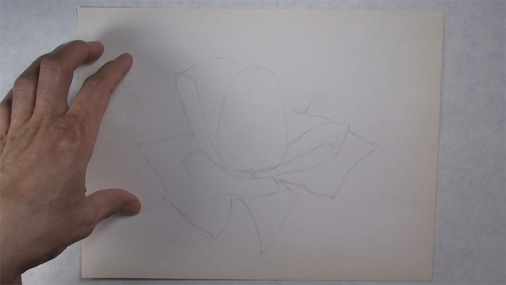 draw some basic shapes for the petals - step 3
