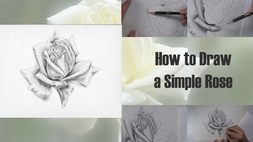 how to draw a simple rose title