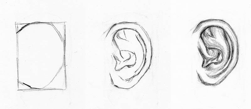 drawing people's ears