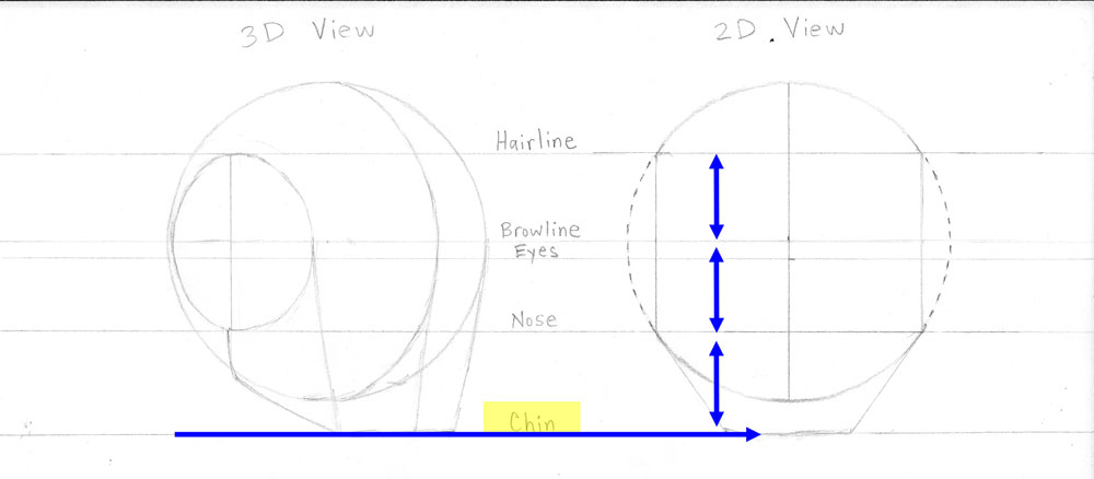 Loomis chin line