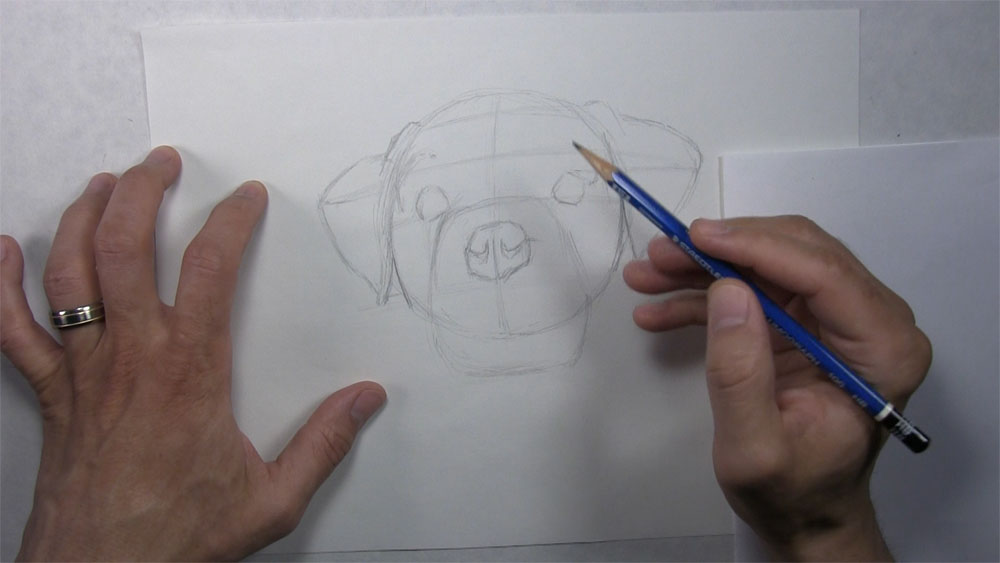 draw the ears and nose of a dog face
