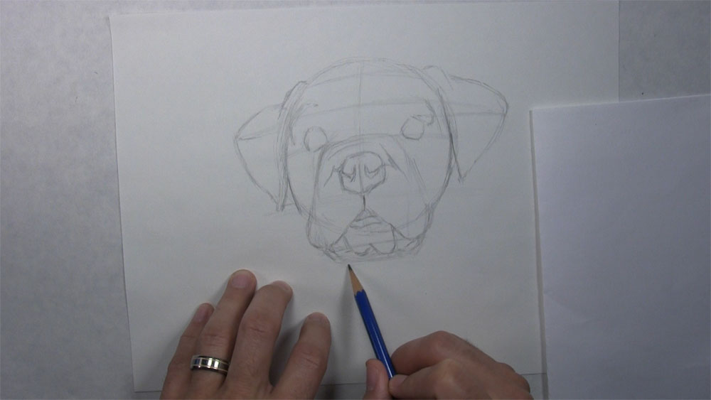 draw the mouth of a dog face