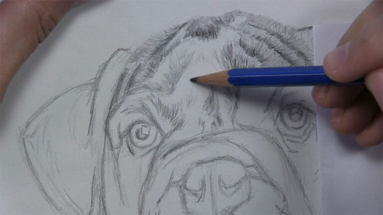 How to Draw a Dog Face with Pleasingly Realistic Features - Let's Draw ...