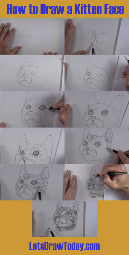 how to draw a kitten face recap