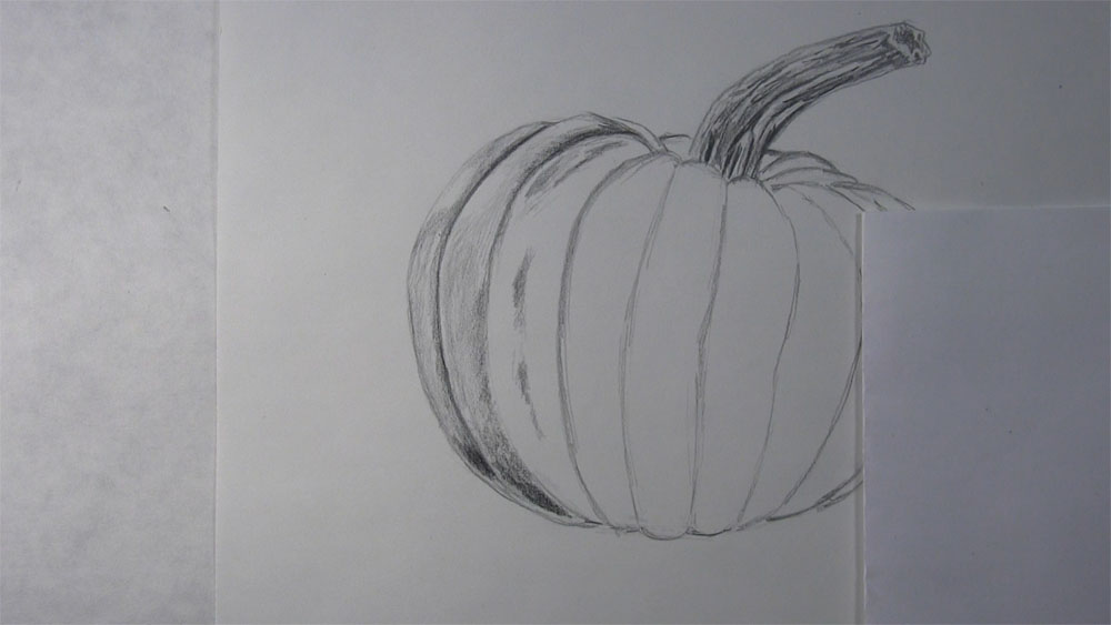 draw impressions between the pumpkin ribs