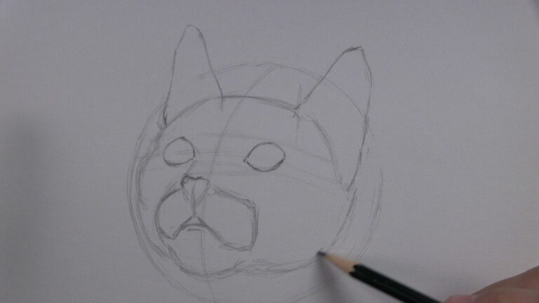 How To Draw A Kitten Face Step By Step - Let's Draw Today