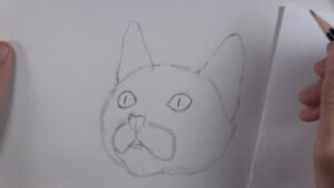 How to Draw a Kitten Face Step by Step - Let's Draw Today