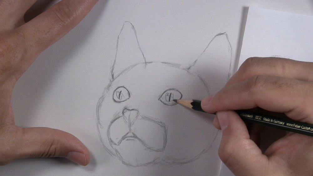 draw a kitten face eyes