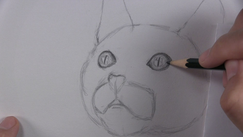 draw a kitten face eye details