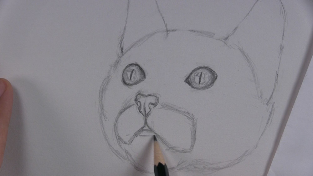 draw a kitten face nose and mouth