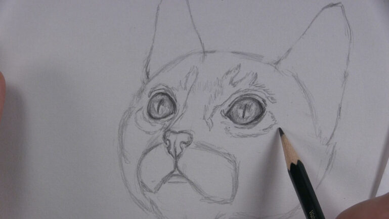 How to Draw a Kitten Face Step by Step - Let's Draw Today