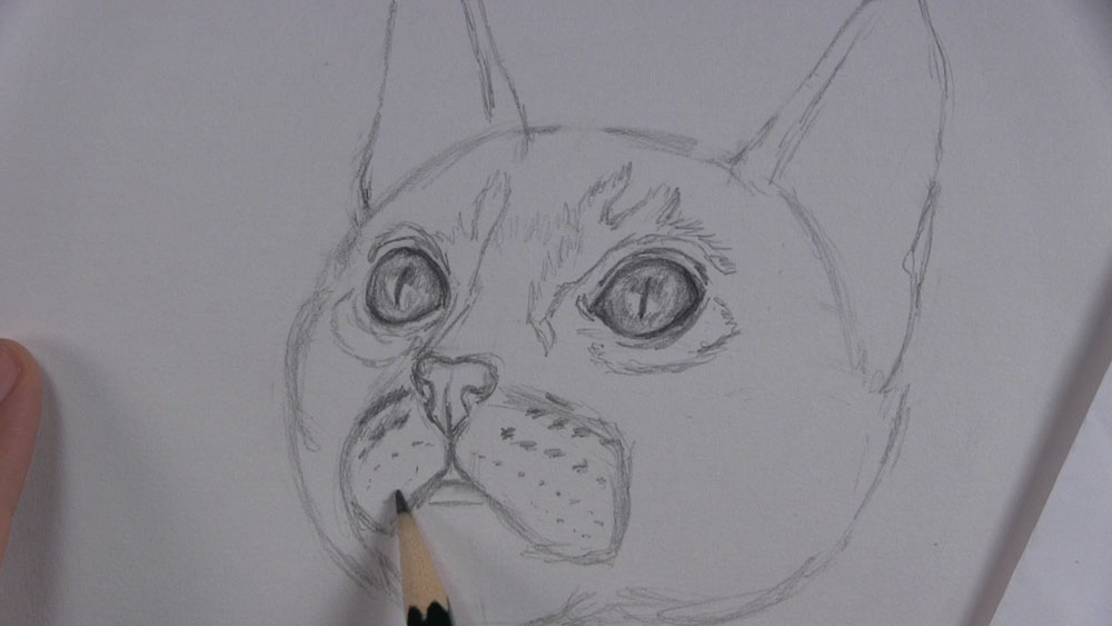 draw dots around kitten mouth area