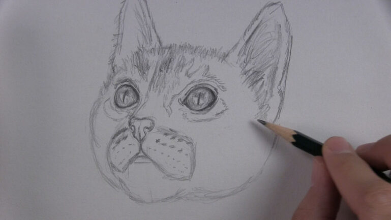 How to Draw a Kitten Face Step by Step - Let's Draw Today