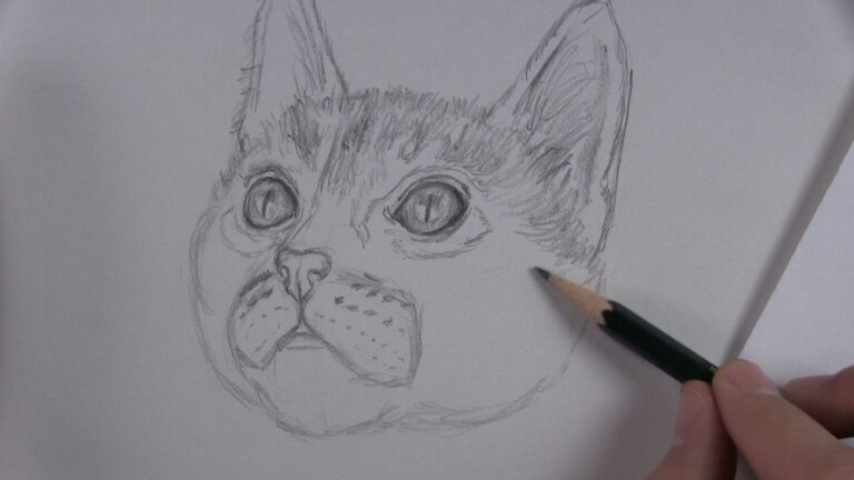 How to Draw a Kitten Face Step by Step - Let's Draw Today