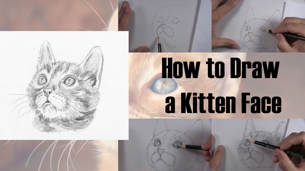 how to draw a kitten face title