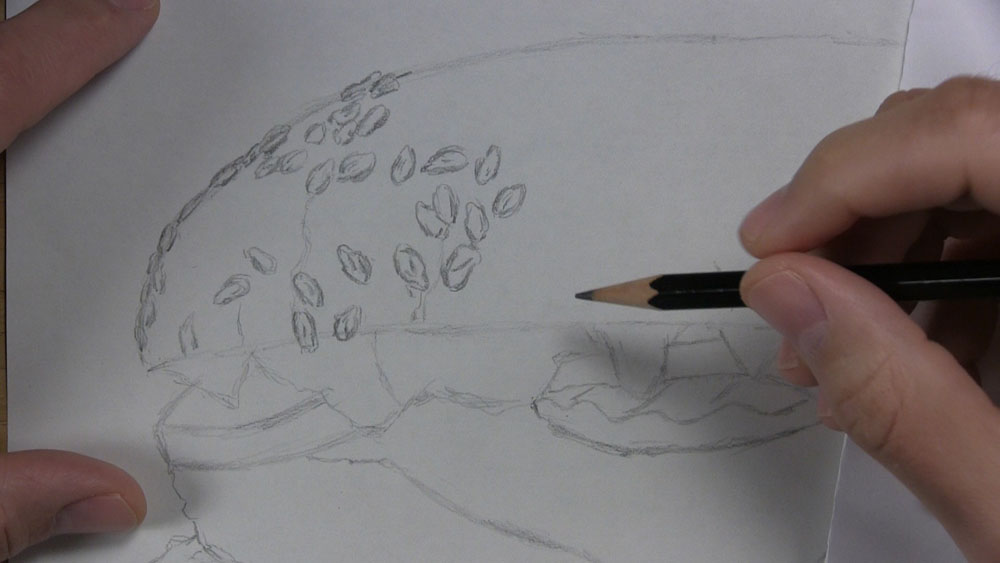 begin drawing seeds