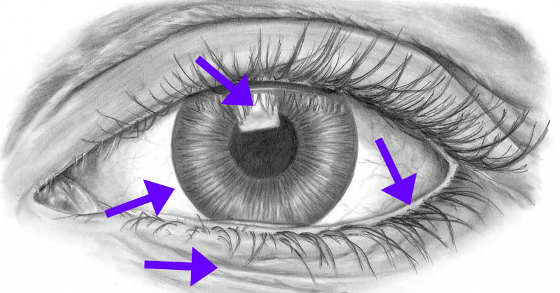 using a kneaded eraser to draw the eye