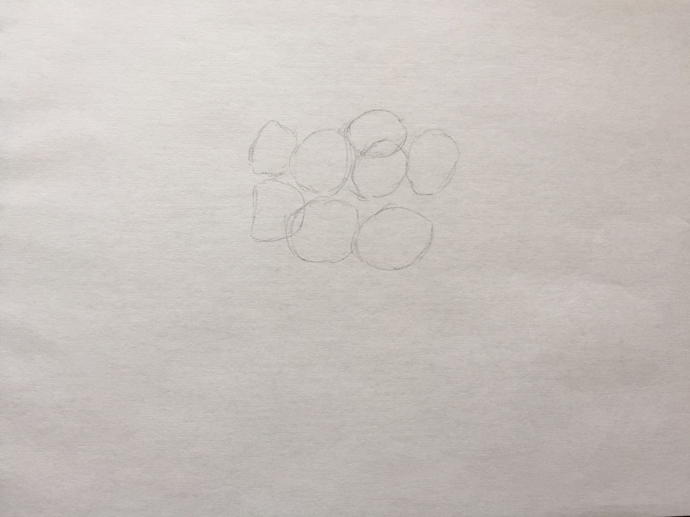 draw circles for flowers of the bouquet