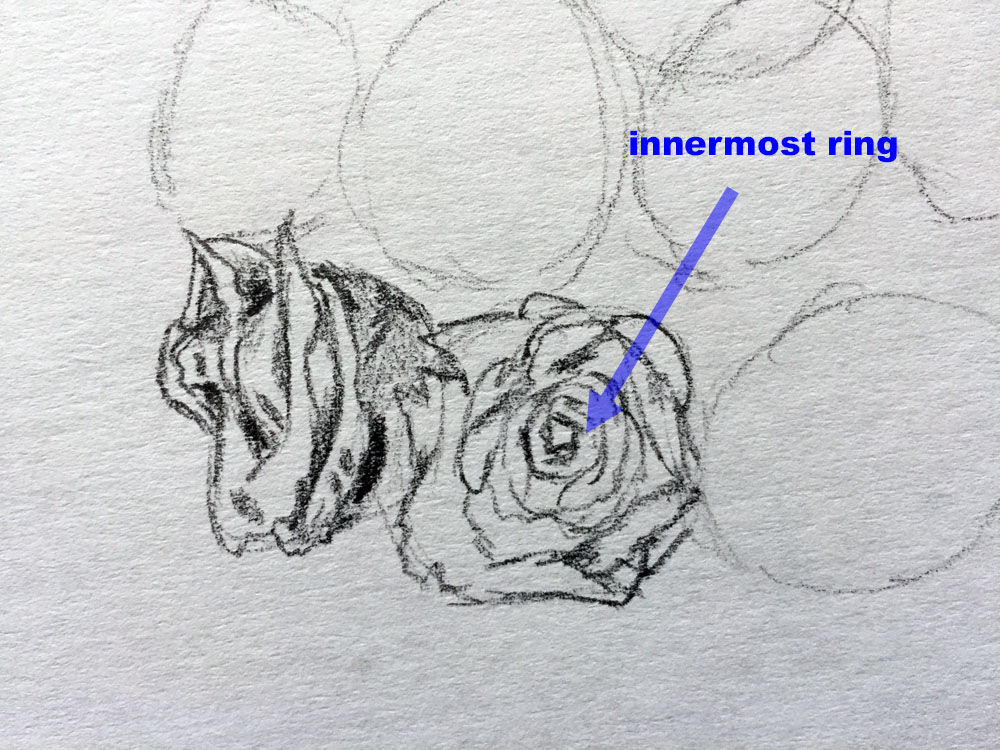 draw the innermost ring