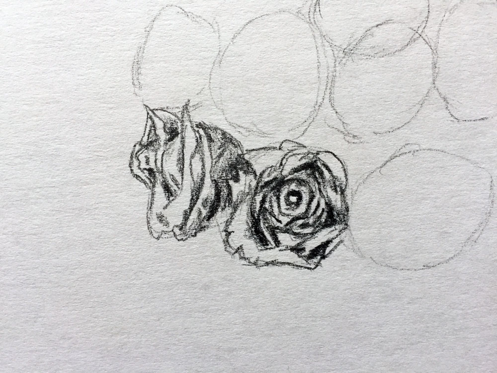 draw shadows on the second flower of the bouquet