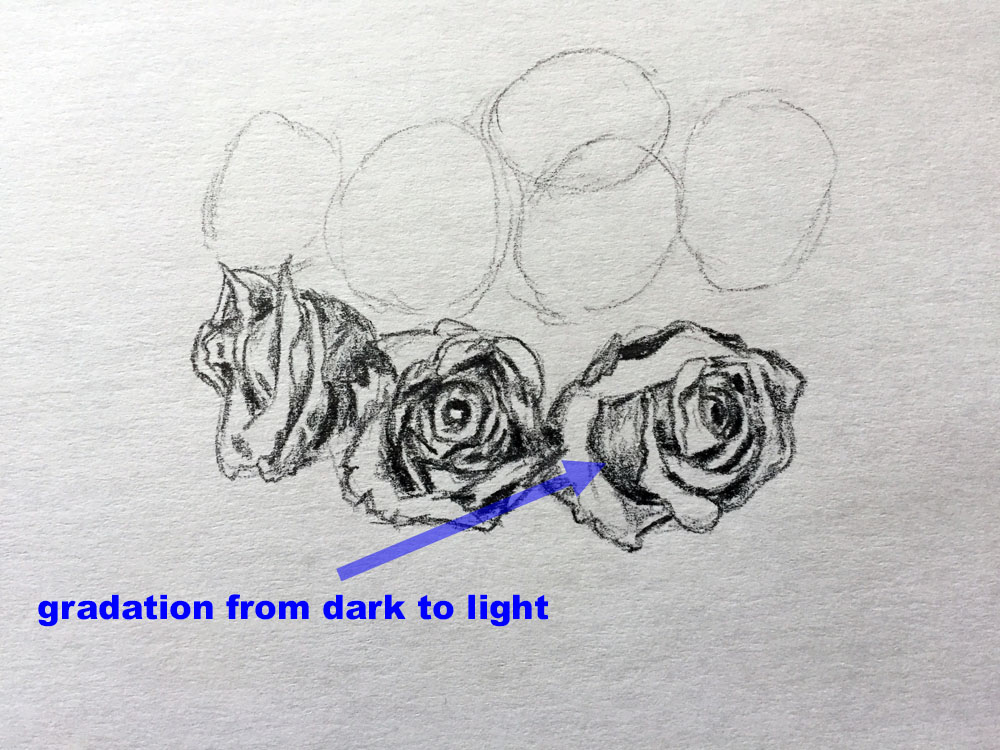 transition from light to dark shading