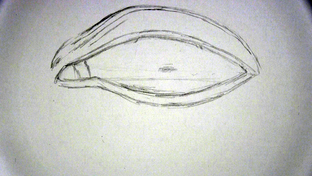 draw the bottom eyelid