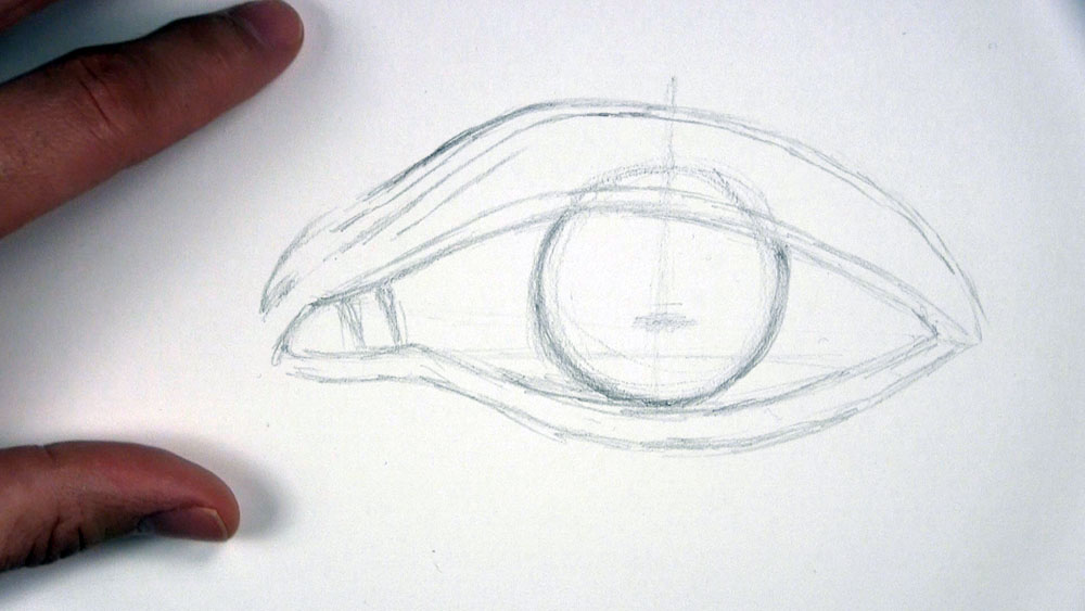 draw a circle for the iris