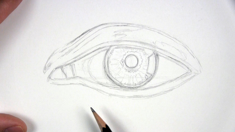 draw guidelines on the eyelid for a realistic eye