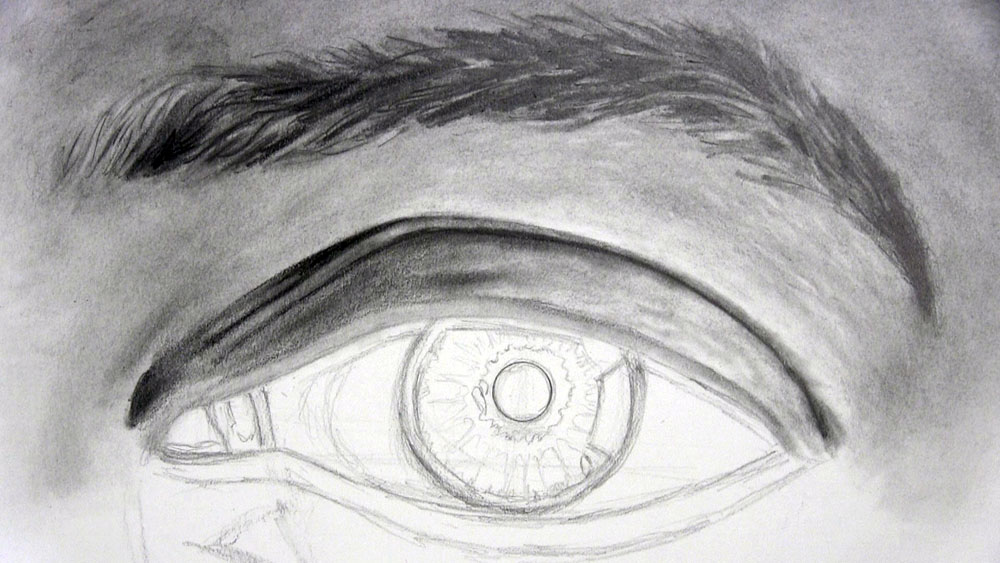 draw heavier realistic shading on the lid above the eye
