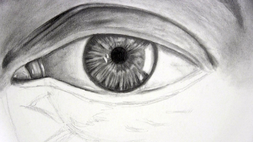 draw highlights along the lower lid for a realistic eye