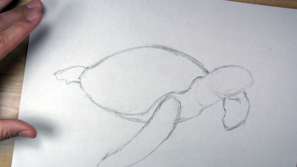 draw a hind flipper on the sea turtle