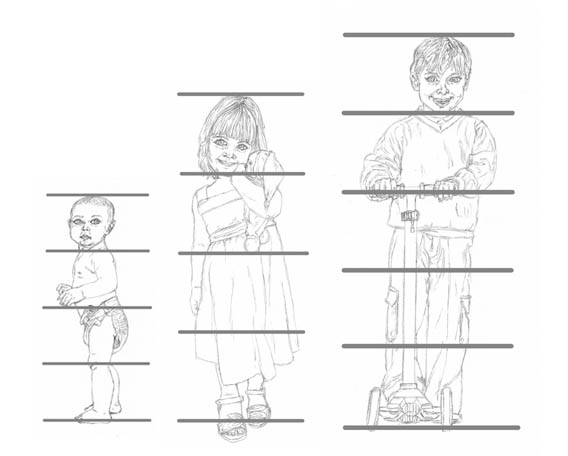 child proportions of 1yr to 6yr olds