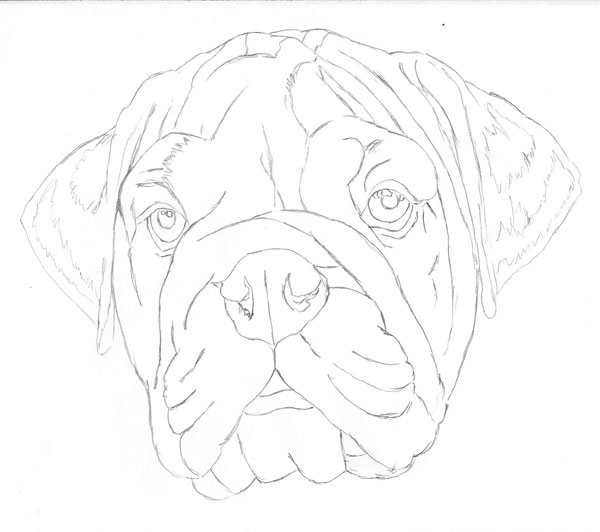 dog face with grid