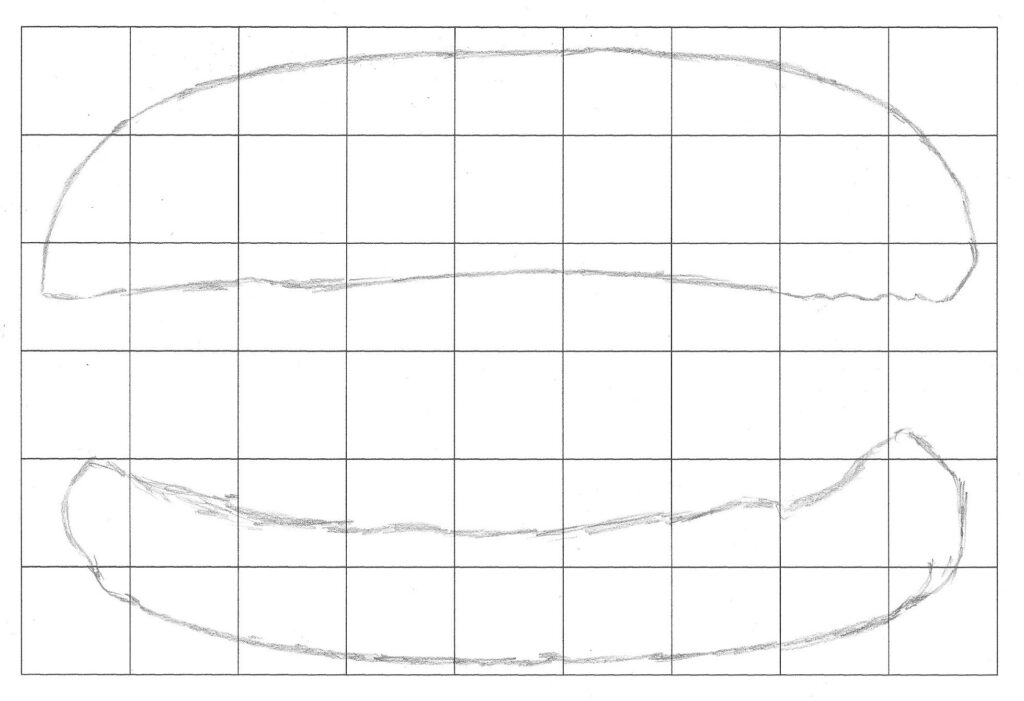 grid method to draw bun