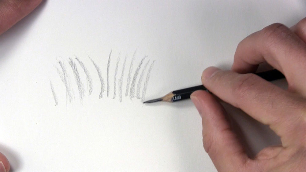 How to Draw Realistic Grass That's Ready to Be Seen - Let's Draw Today