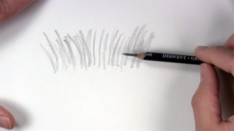 How to Draw Realistic Grass That's Ready to Be Seen - Let's Draw Today