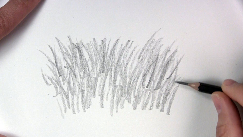 25 Easy Grass Drawing Ideas - How to Draw Grass - Blitsy