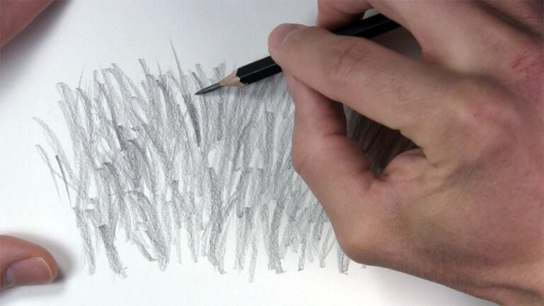 How to Draw Realistic Grass That's Ready to Be Seen - Let's Draw Today