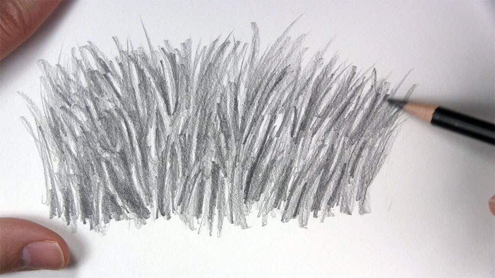 draw realistic shading in the grass