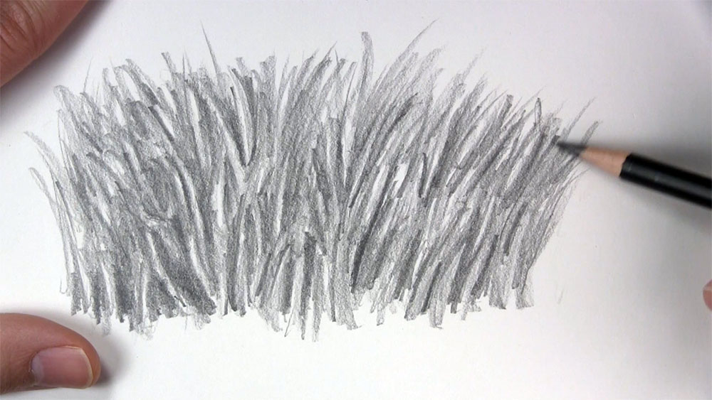 Top 79+ grass pencil sketch best - seven.edu.vn