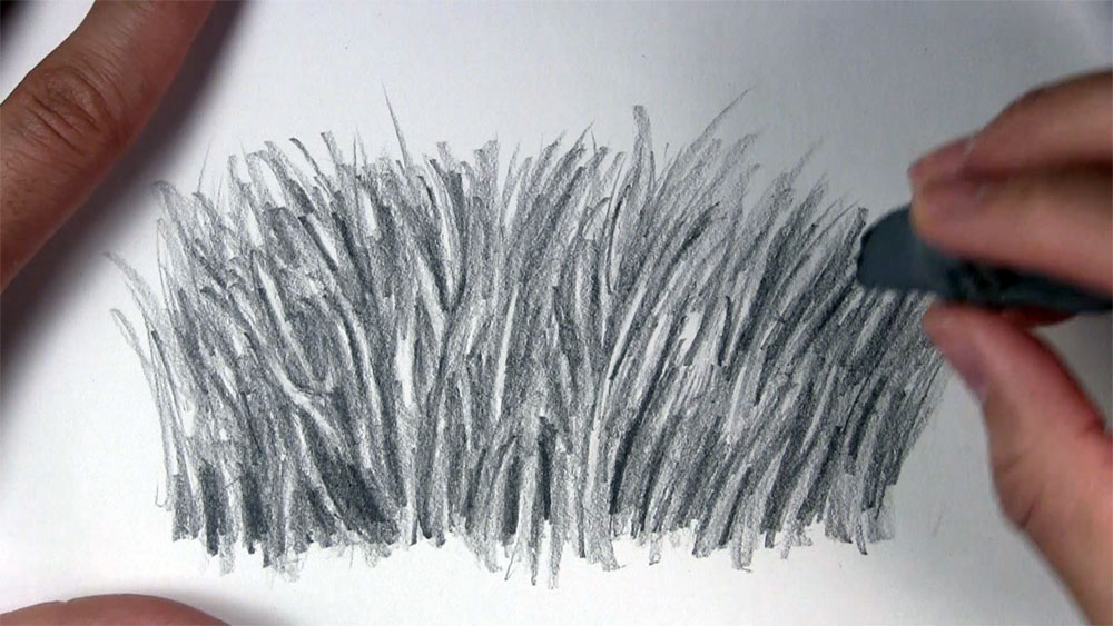 draw highlights for realistic grass