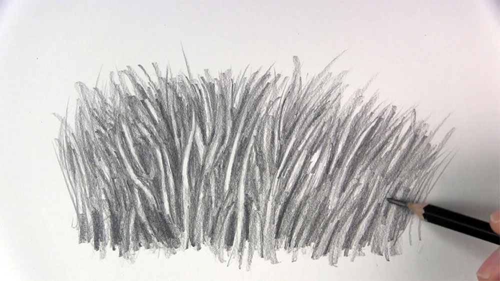 DRAWING GRASS and WEEDS tutorial (part 1) by Diane Wright