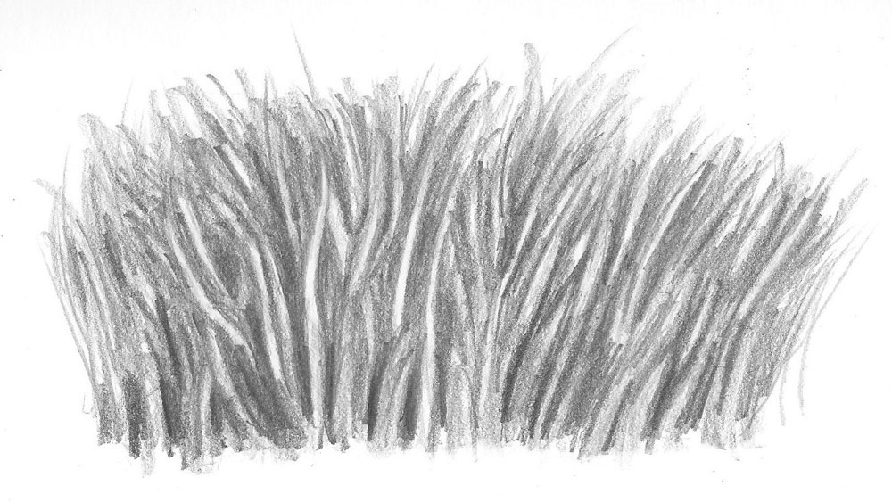 how to draw realistic grass final result