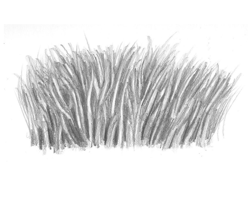 How to Draw Realistic Grass That's Ready to Be Seen - Let's Draw Today