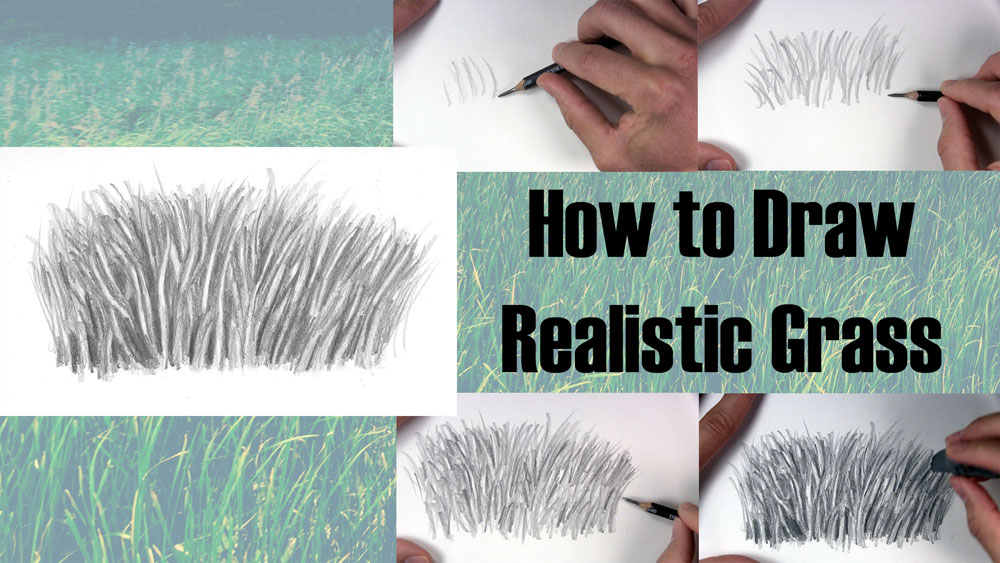 how to draw realistic grass title