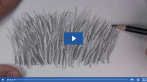 How to Draw Realistic Grass That's Ready to Be Seen - Let's Draw Today