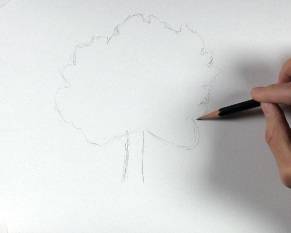 draw the tree's basic shape