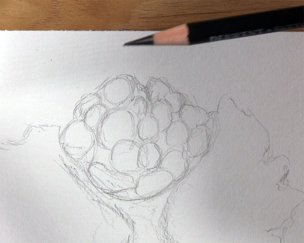 draw clusters for tree leaves
