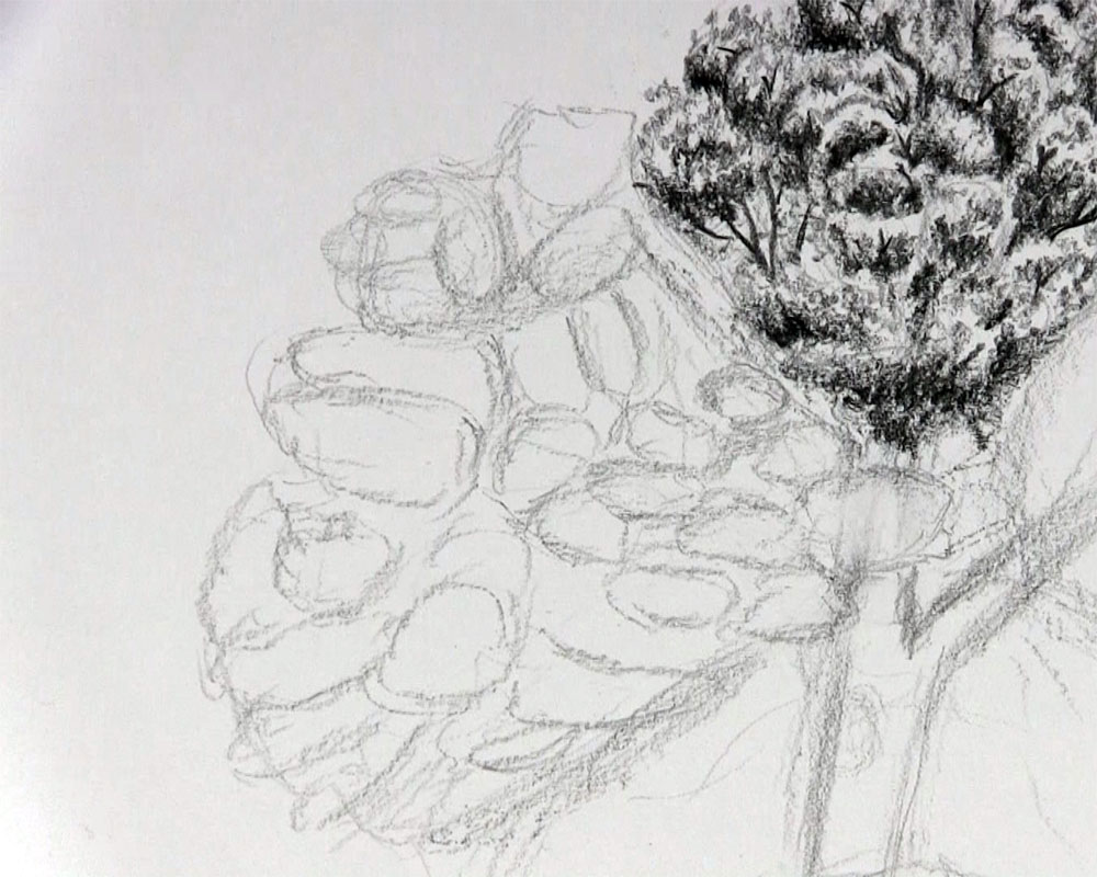 finish clusters on left to draw tree leaves